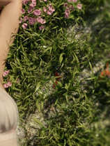 A1744 - 女神的最佳交易 My Best Deal v3.4.20240929-PC+安卓 免安装中文版[6.72GB]