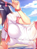 A1393 - 樱姬1.2.3.4 Sakura Hime1.2.3.4 樱花公主 免安装中文动态步兵版[1.84GB]